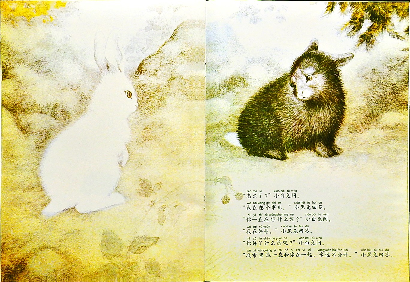 黑兔和白兔 (10),绘本,绘本故事,绘本阅读,故事书,童书,图画书,课外阅读